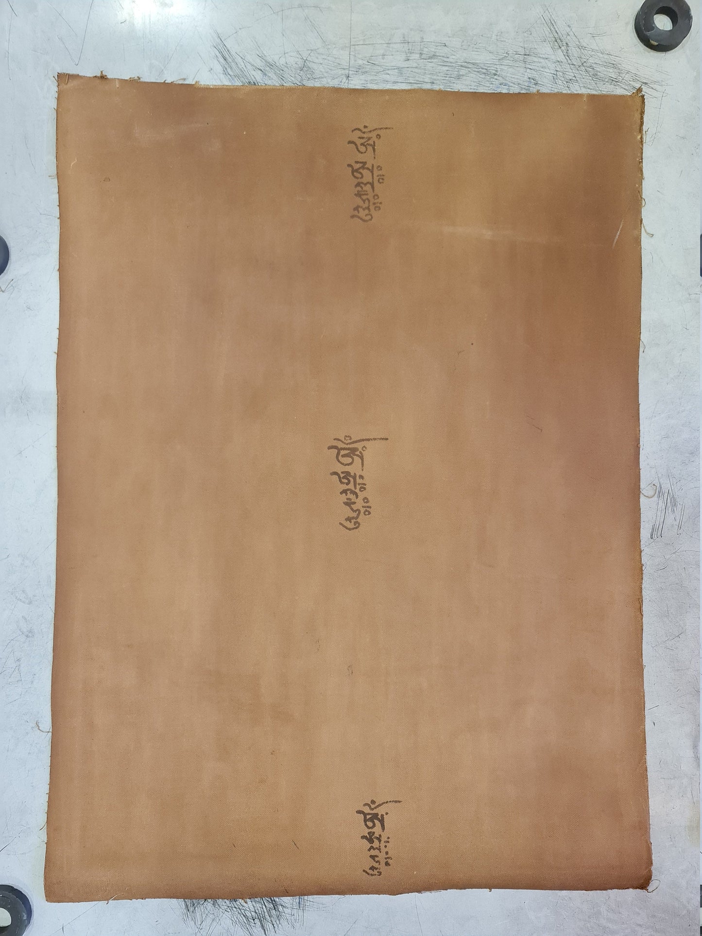 201. Sangdo Palri (Zangdok Palri) Thanka with Thick Canvas. 20 Years Old. Free Brocade / Free Shipping.